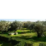 Appartement Tra Ulivi E Mare
