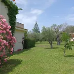 Tra Ulivi E Mare Appartement Sant'Andrea Apostolo dello Ionio