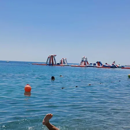 Tra Ulivi E Mare Sant'Andrea Apostolo dello Ionio