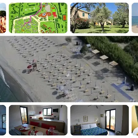 Tra Ulivi E Mare Sant'Andrea Apostolo dello Ionio