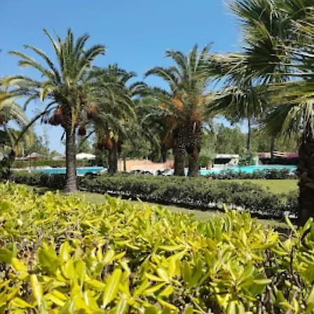 Apartamento Tra Ulivi E Mare *