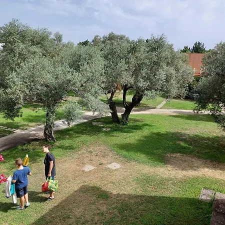 Apartament Tra Ulivi E Mare