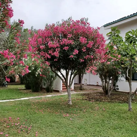 Apartament Tra Ulivi E Mare *