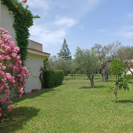 Tra Ulivi E Mare Apartman Sant'Andrea Apostolo dello Ionio