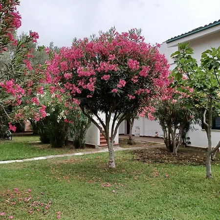 Apartman Tra Ulivi E Mare