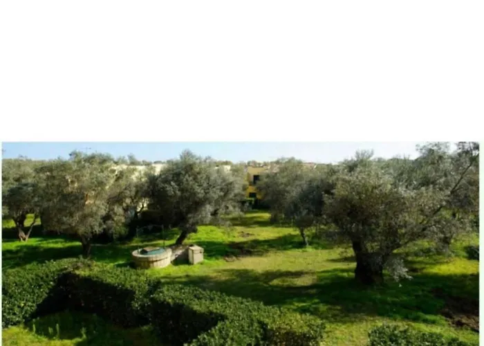 Διαμέρισμα Tra Ulivi E Mare