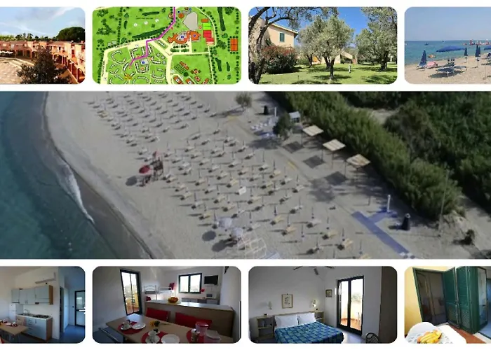 Tra Ulivi E Mare Sant'Andrea Apostolo dello Ionio