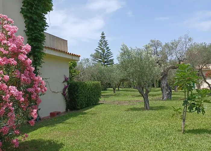 Tra Ulivi E Mare Διαμέρισμα *