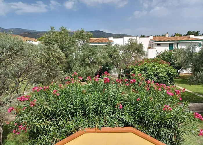 Tra Ulivi E Mare Sant'Andrea Apostolo dello Ionio