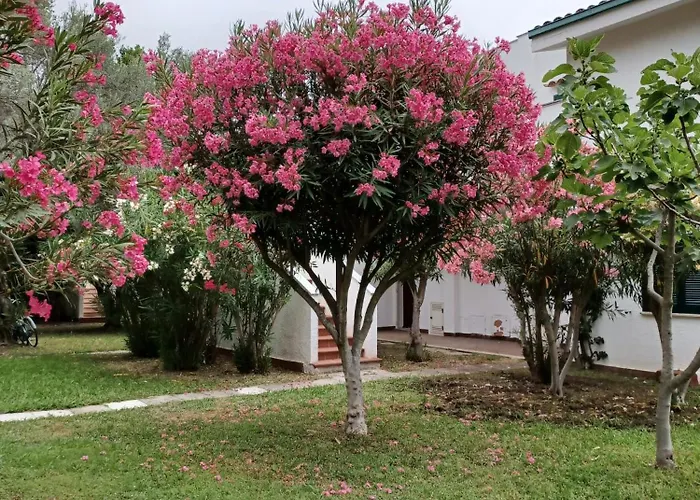 Διαμέρισμα Tra Ulivi E Mare Sant'Andrea Apostolo dello Ionio