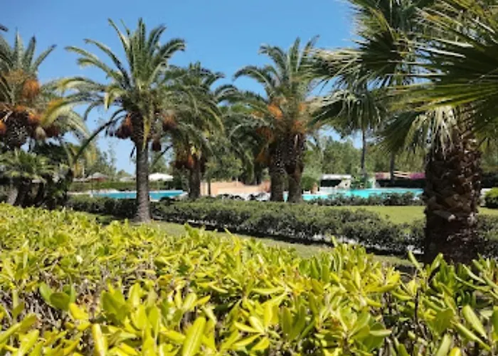 Διαμέρισμα Tra Ulivi E Mare Sant'Andrea Apostolo dello Ionio